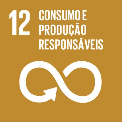 12 - Consumo e Produo Responsveis