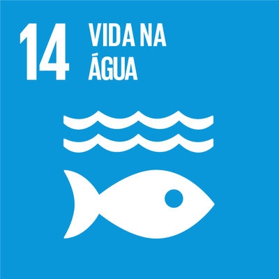 14 - Vida na gua