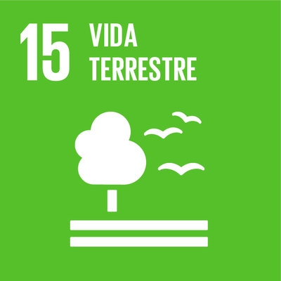 15 - Vida Terrestre