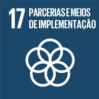 17 - Parcerias e Meios de Implementao